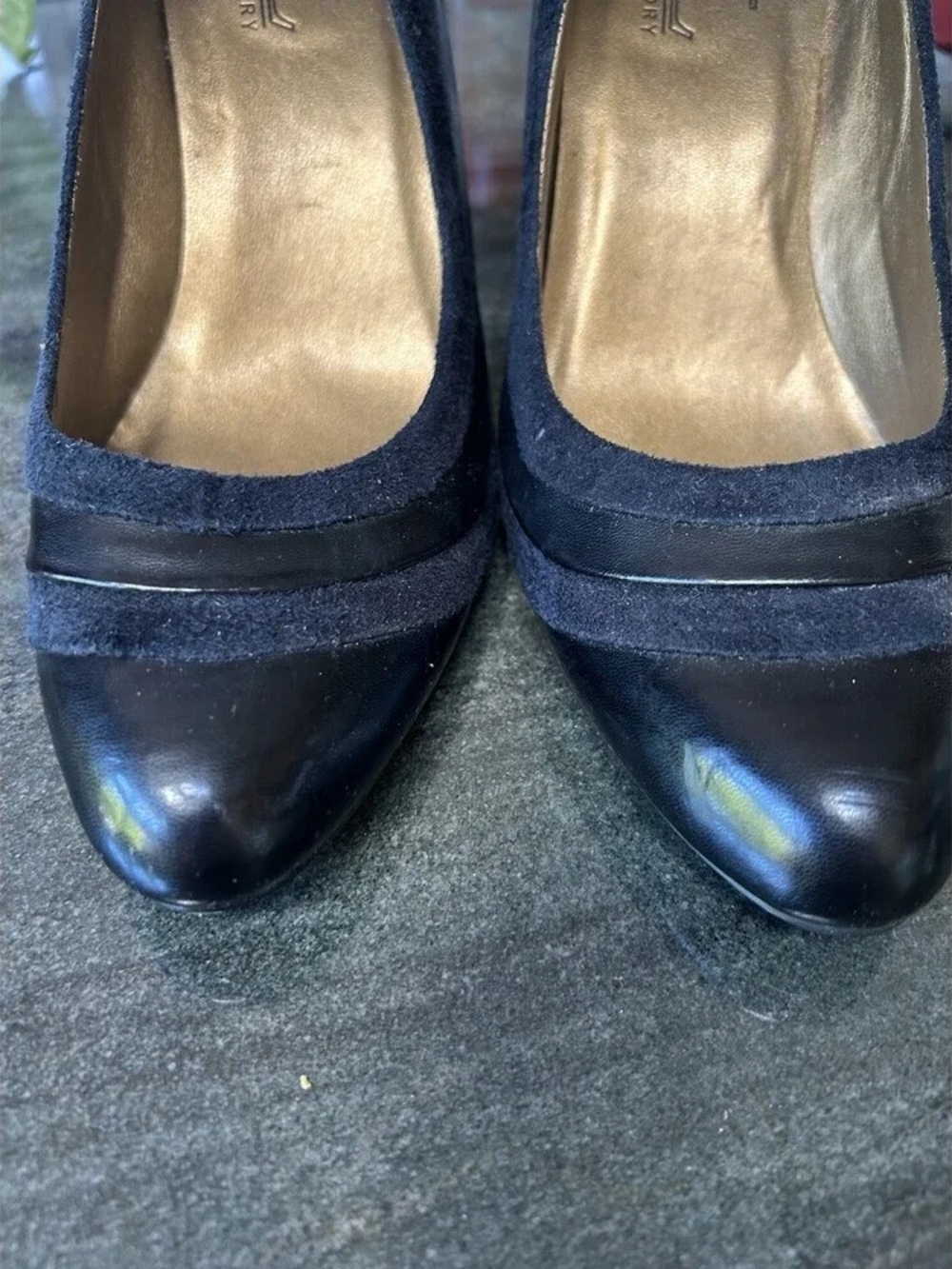 Women's Black Pointed Toe Pumps with Suede Trim